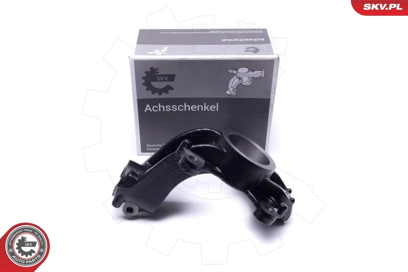 Steering Knuckle, wheel suspension